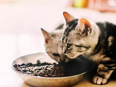 智慧消防各有奇招 新疆安全新疆管全天候接入50万户“火狐电竞官网”(图4) 火狐电竞官网